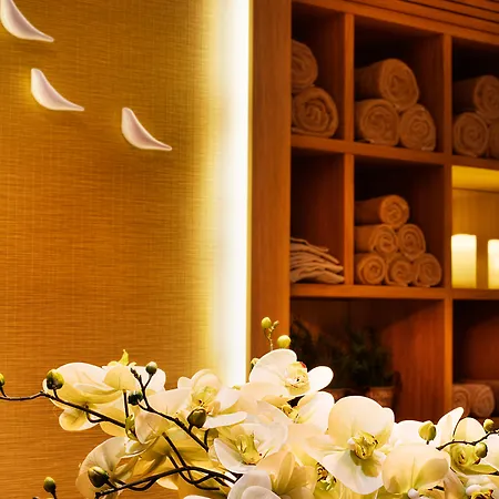 - Kadikoy By Ihg Hotel Istambul